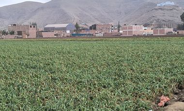 VENTA DE TERRENO DE 24,500 m2 EN CHUQUITANTA - SAN MARTIN