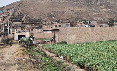 VENTA DE TERRENO DE 24,500 m2 EN CHUQUITANTA - SAN MARTIN