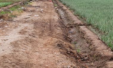 VENTA DE TERRENO DE 24,500 m2 EN CHUQUITANTA - SAN MARTIN