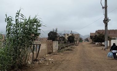 VENTA DE TERRENO DE 24,500 m2 EN CHUQUITANTA - SAN MARTIN