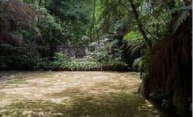 Venta de Hotel, Cabaña y Galera en Barrio Independencia Tlanchinol Hidalgo/ Adjudicacion Bancaria