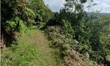 Venta de Hotel, Cabaña y Galera en Barrio Independencia Tlanchinol Hidalgo/ Adjudicacion Bancaria