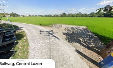 Lot for sale in Matangtubig, Calantipay, Baliwag, Bulacan