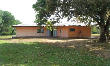 FINCA PARA DIVERSOS PROYECTOS DE 20.000 HECTAREAS EN CUMARIBO- VICHADA