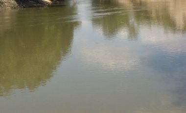 FINCA PARA DIVERSOS PROYECTOS DE 20.000 HECTAREAS EN CUMARIBO- VICHADA