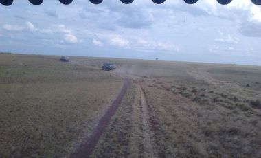 FINCA PARA DIVERSOS PROYECTOS DE 20.000 HECTAREAS EN CUMARIBO- VICHADA