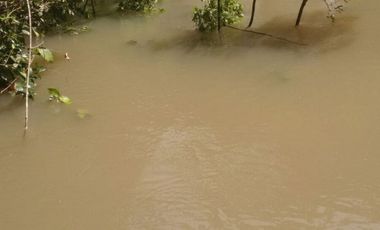FINCA PARA DIVERSOS PROYECTOS DE 20.000 HECTAREAS EN CUMARIBO- VICHADA