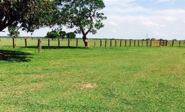 FINCA GANADERA DE 11.830 HECTAREAS EN LA PRIMAVERA- VICHADA