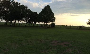 FINCA GANADERA DE 11.830 HECTAREAS EN LA PRIMAVERA- VICHADA