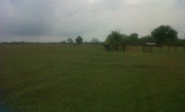FINCA GANADERA DE 11.830 HECTAREAS EN LA PRIMAVERA- VICHADA