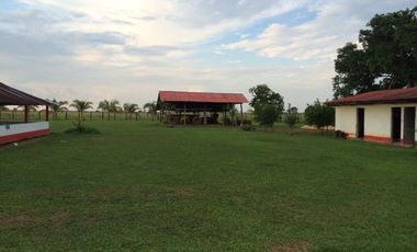 FINCA GANADERA DE 11.830 HECTAREAS EN LA PRIMAVERA- VICHADA