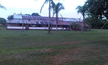 FINCA GANADERA DE 11.830 HECTAREAS EN LA PRIMAVERA- VICHADA