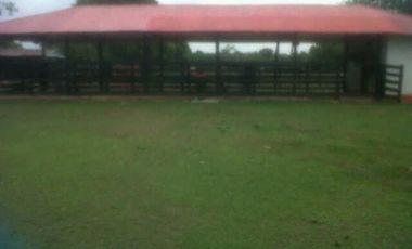 FINCA GANADERA DE 11.830 HECTAREAS EN LA PRIMAVERA- VICHADA