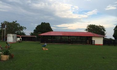 FINCA GANADERA DE 11.830 HECTAREAS EN LA PRIMAVERA- VICHADA