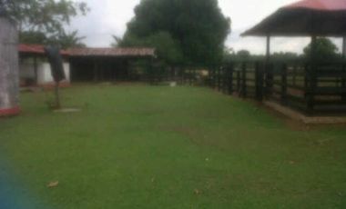 FINCA GANADERA DE 11.830 HECTAREAS EN LA PRIMAVERA- VICHADA