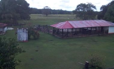 FINCA GANADERA DE 11.830 HECTAREAS EN LA PRIMAVERA- VICHADA