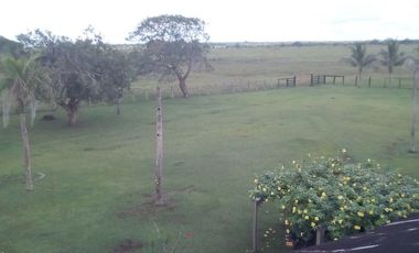 FINCA GANADERA DE 11.830 HECTAREAS EN LA PRIMAVERA- VICHADA