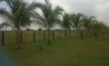 FINCA GANADERA DE 11.830 HECTAREAS EN LA PRIMAVERA- VICHADA