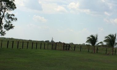 FINCA GANADERA DE 11.830 HECTAREAS EN LA PRIMAVERA- VICHADA
