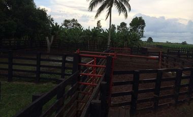 FINCA GANADERA DE 11.830 HECTAREAS EN LA PRIMAVERA- VICHADA