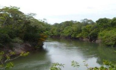 FINCA GANADERA DE 11.830 HECTAREAS EN LA PRIMAVERA- VICHADA