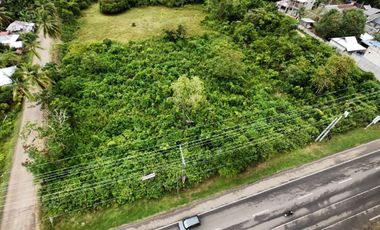 Commercial Lot for Lease - Lourdes, Panglao, Bohol