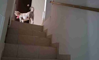 🏠vendo Casa Dos Rentas Dosquebradas