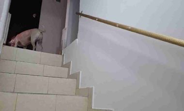 🏠vendo Casa Dos Rentas Dosquebradas