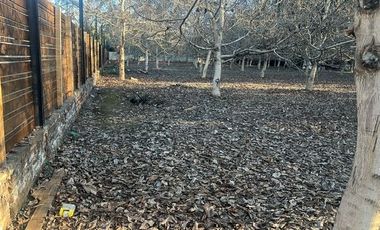 Venta Terreno de 5.390m2, Sector el Vinculo, Paine