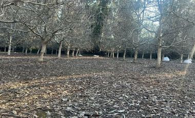 Venta Terreno de 5.390m2, Sector el Vinculo, Paine