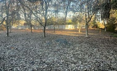 Venta Terreno de 5.390m2, Sector el Vinculo, Paine