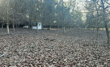 Venta Terreno de 5.390m2, Sector el Vinculo, Paine