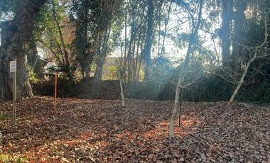 Venta Terreno de 5.390m2, Sector el Vinculo, Paine