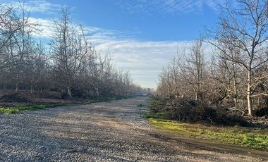 Venta Terreno de 5.390m2, Sector el Vinculo, Paine