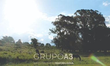 SE VENDEN LOTES EN LOTEO POTRERO DE GARAY EXCELENTE UBICACION- 229