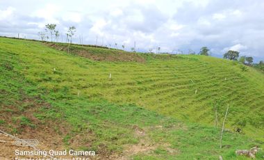 LOTE EN VENTA EN ALCALA