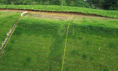 LOTE EN VENTA EN ALCALA