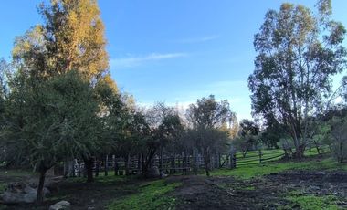PREDIO EN LAS CABRAS DE 93 HECTAREAS