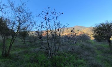 PREDIO EN LAS CABRAS DE 93 HECTAREAS