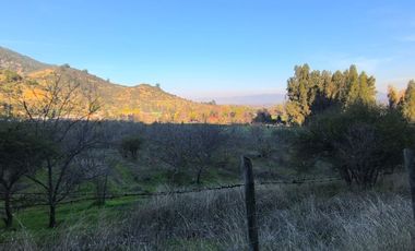 PREDIO EN LAS CABRAS DE 93 HECTAREAS