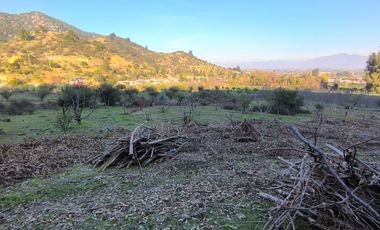 PREDIO EN LAS CABRAS DE 93 HECTAREAS