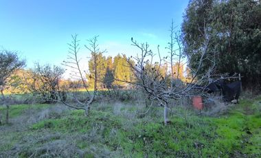 PREDIO EN LAS CABRAS DE 93 HECTAREAS