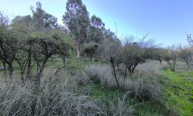 PREDIO EN LAS CABRAS DE 93 HECTAREAS