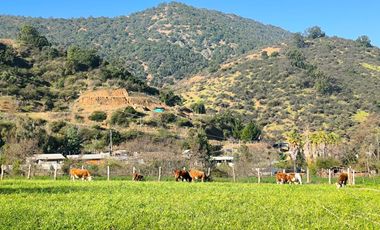PREDIO EN LAS CABRAS DE 93 HECTAREAS