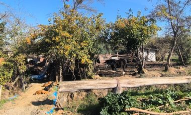 PREDIO EN LAS CABRAS DE 93 HECTAREAS