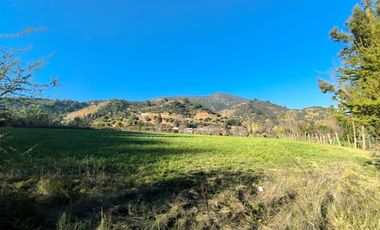PREDIO EN LAS CABRAS DE 93 HECTAREAS