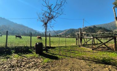 PREDIO EN LAS CABRAS DE 93 HECTAREAS