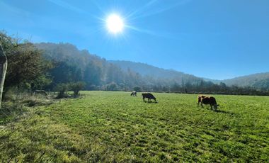 PREDIO EN LAS CABRAS DE 93 HECTAREAS