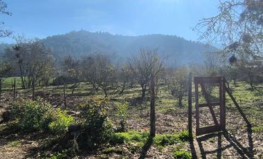 PREDIO EN LAS CABRAS DE 93 HECTAREAS