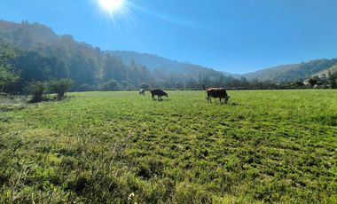 PREDIO EN LAS CABRAS DE 93 HECTAREAS